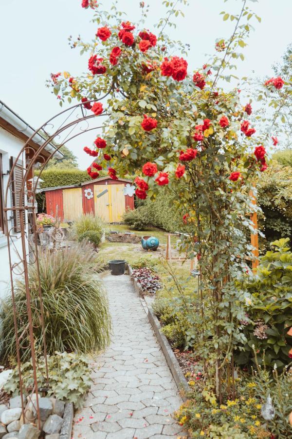 Ferienparadies Am Kammerberg - Ein Ganzes Haus Fuer Sie Alleine!!! Weißenhorn Exterior foto